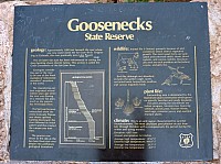 gooseneck (7).JPG